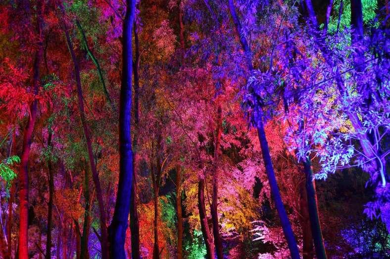 《我家娶了花木兰》定档,巩汉林领衔,喜剧圈的半壁江山全来了