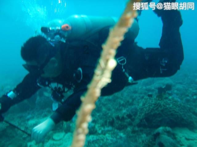 388的自助餐和38的自助餐,哪个更易吃回本?看完文章才明白