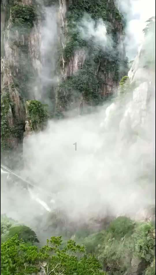 腐草化萤